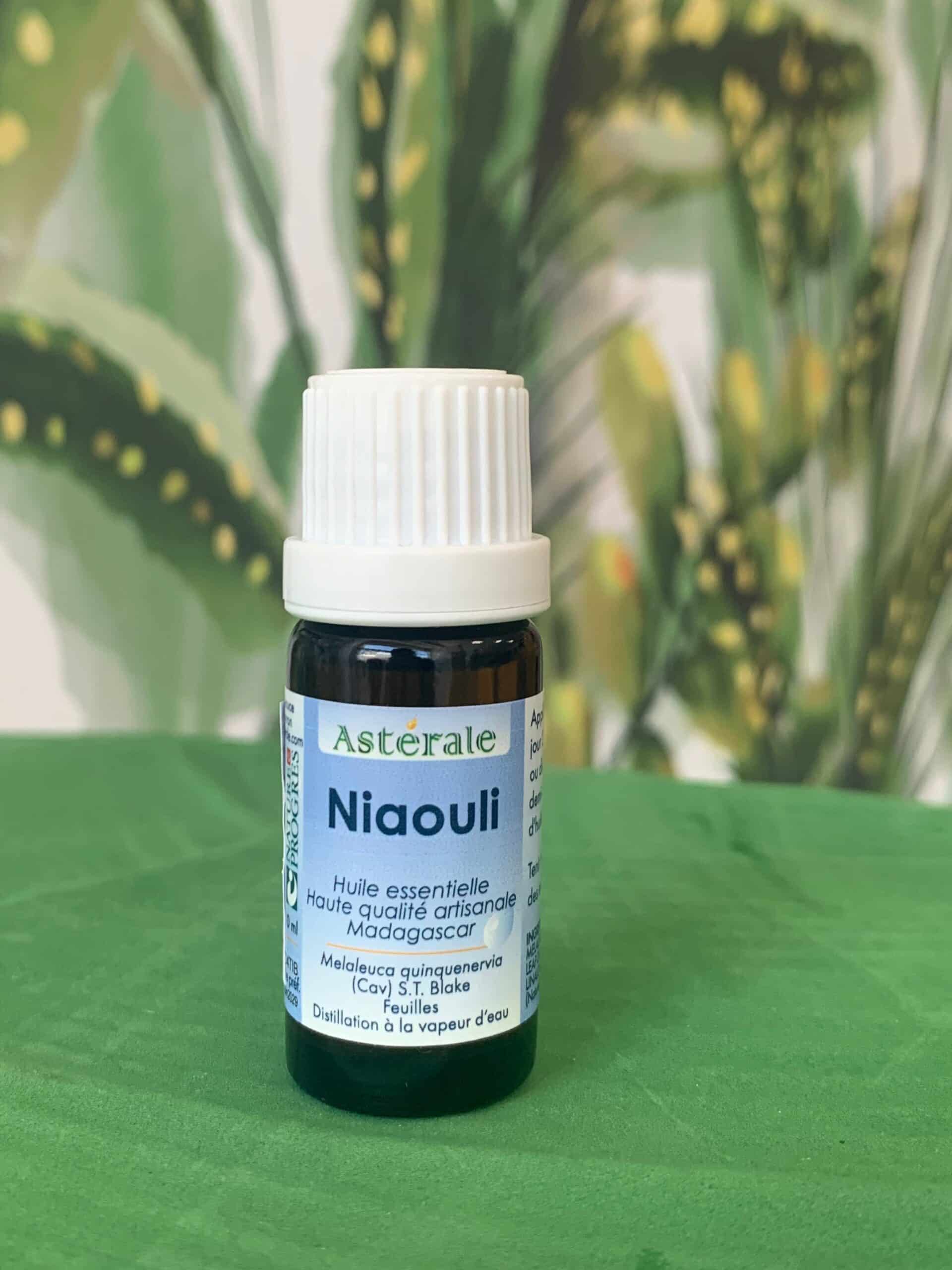 Huile essentielle de Niouli ( huile essentielle) 8,70 HE Niaouli – Image 1