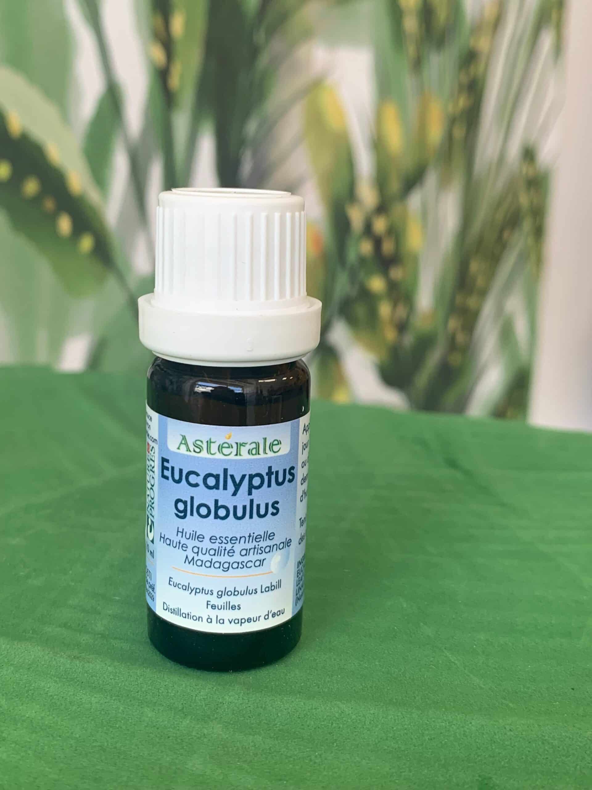 Huile essentielle eucaluptus HE Eucalyptus Globulus – Image 1