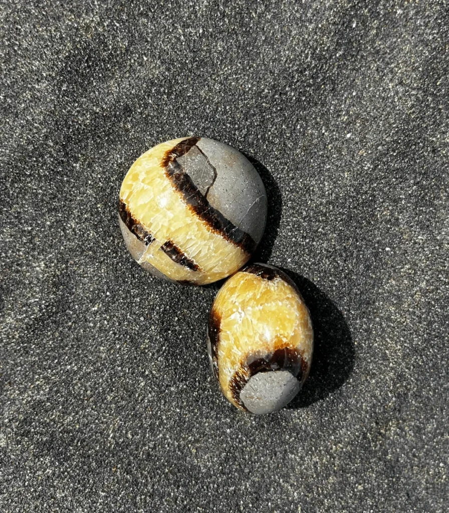 Deux pierres septaria polies aux veines brunes et jaunes, posées sur du sable noir